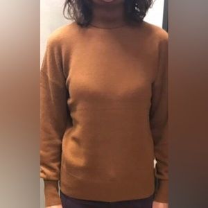Theory Cashmere Turtleneck in Chestnut Brown